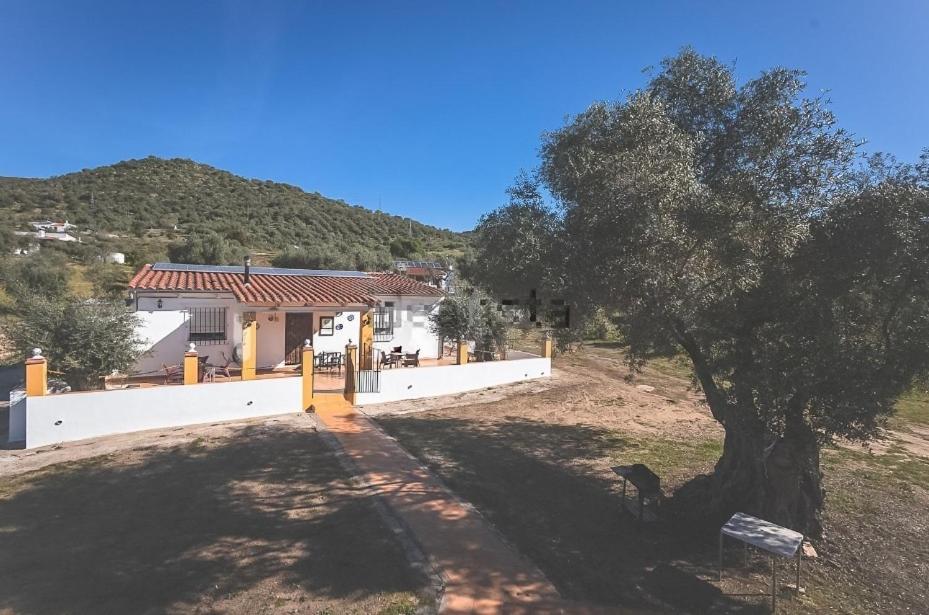 Casa Rural Los Naranjo Jerez De Los Caballeros Exterior foto